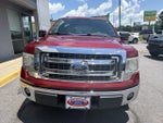 2013 Ford F-150 Base