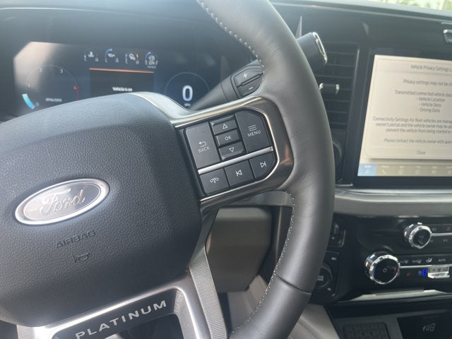 2026 Ford Super Duty F-250 SRW F-250® Platinum®